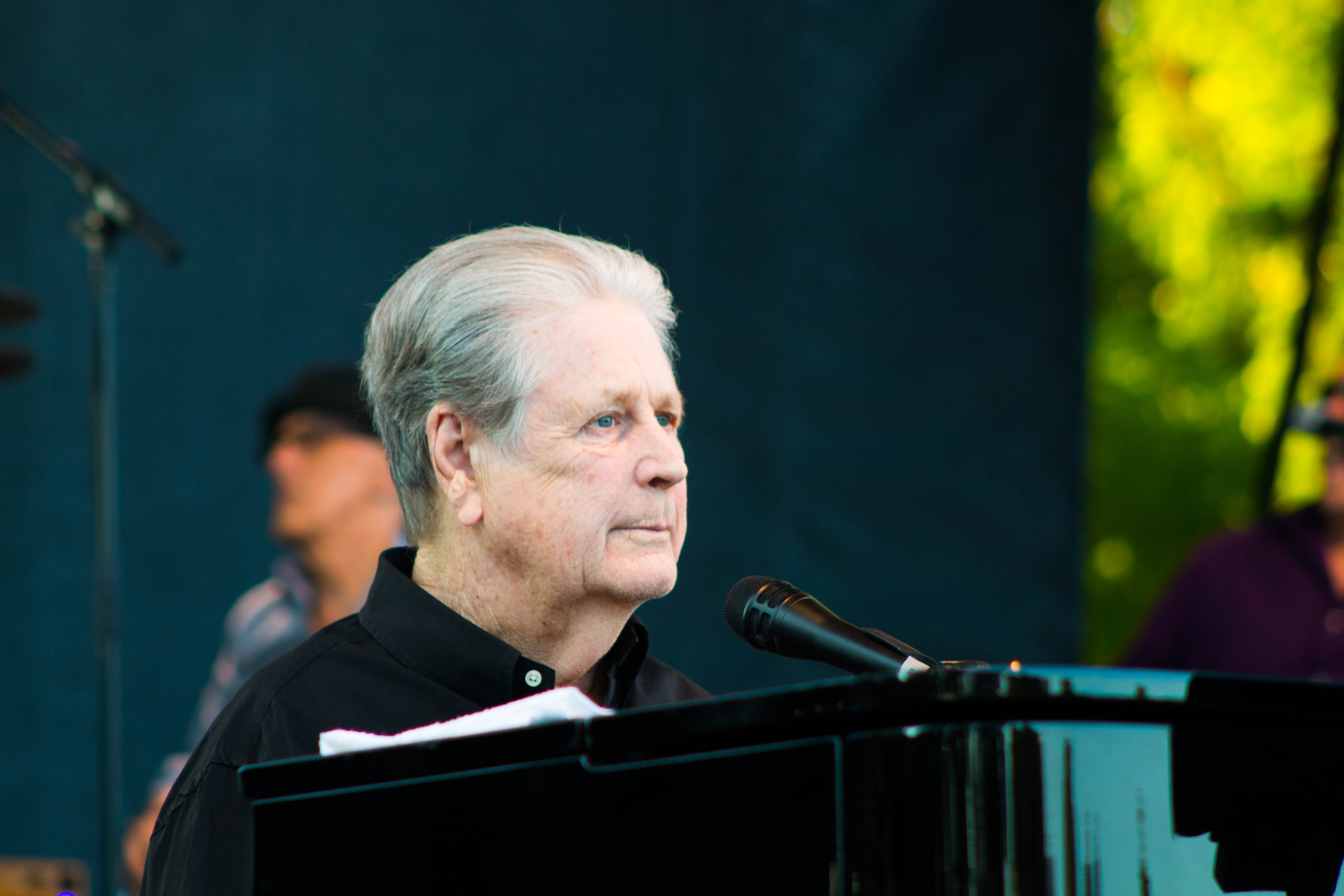 brian wilson-6